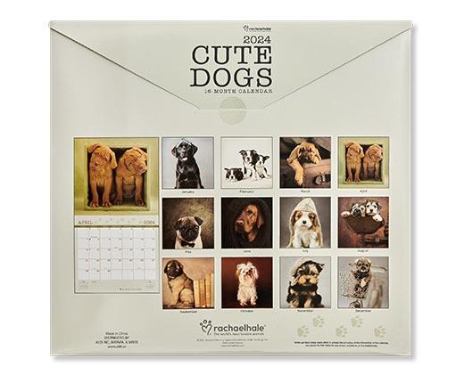Pembrook 
 Premium 12 Month Wall Calendar