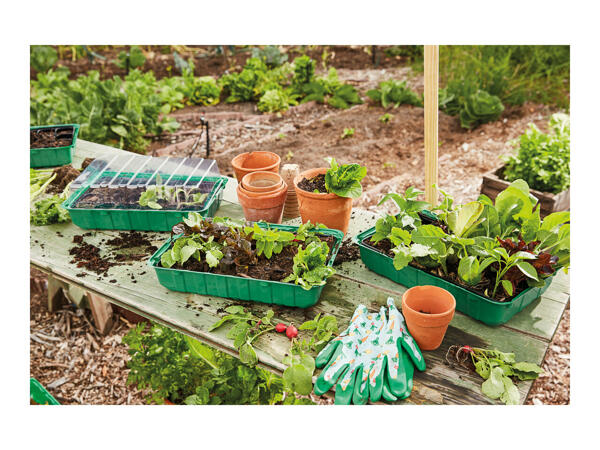 Parkside Propagator Set