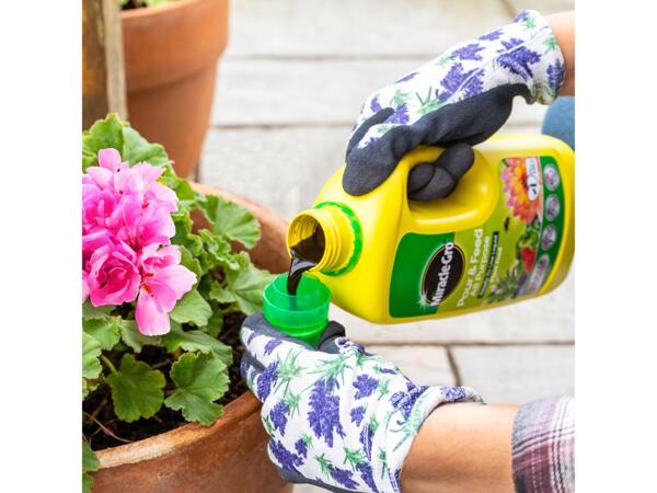Levington Tomorite/​1L Miracle-Gro Pour & Feed