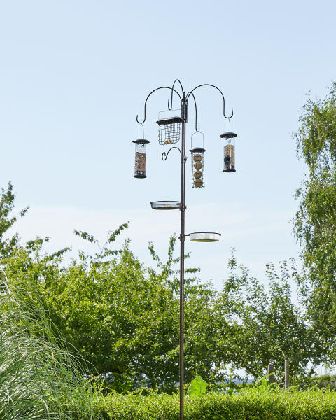Black Complete Bird Feeding Station