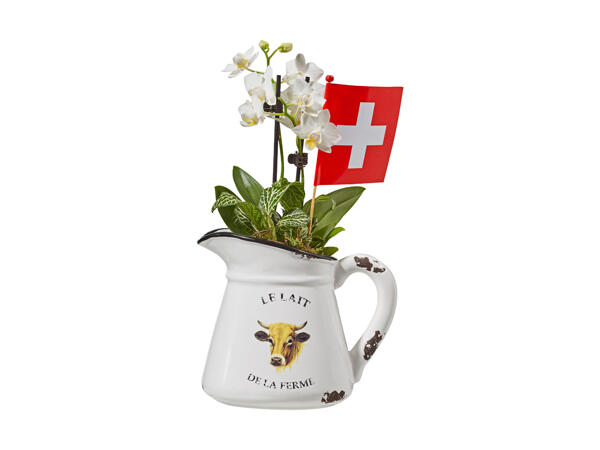 Mini orchidées dans une tasse avec vache pour le 1er août
