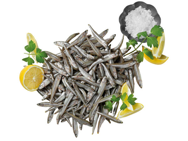 Kleiner Ährenfisch