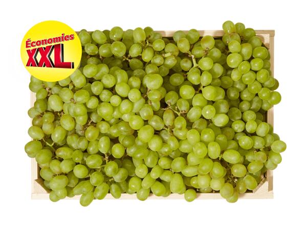 Uva bianca XXL