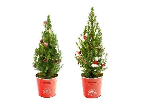 Small Christmas Tree with Lights and Decorations