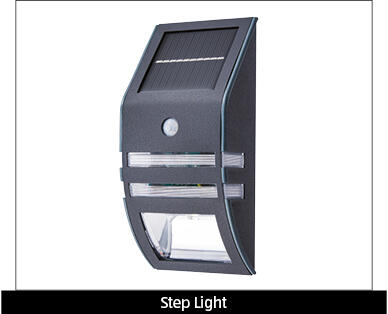Solar Step or Wall Light