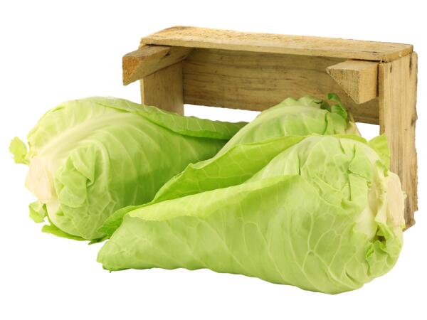 Spetskål