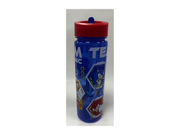 600ml Character Water Bottle - Sonic