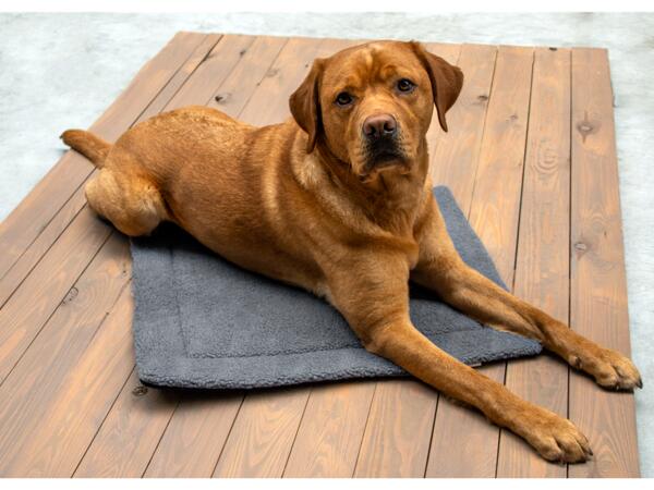 Pet Warming Blanket