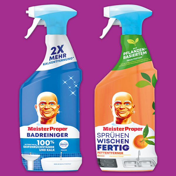Reiniger