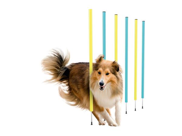 Zoofari Dog Agility Set