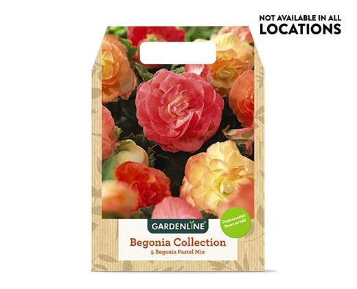 Gardenline 
 Mixed Spring Bulbs Assorted Varieties