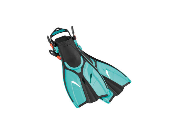 Professional Diving and Snorkel Set