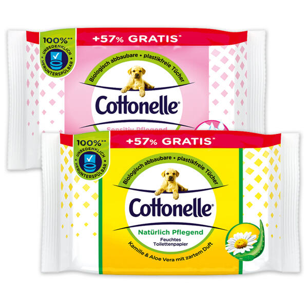 Feuchtes Toilettenpapier