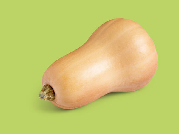 Butternut Squash