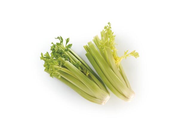 Gen Celery