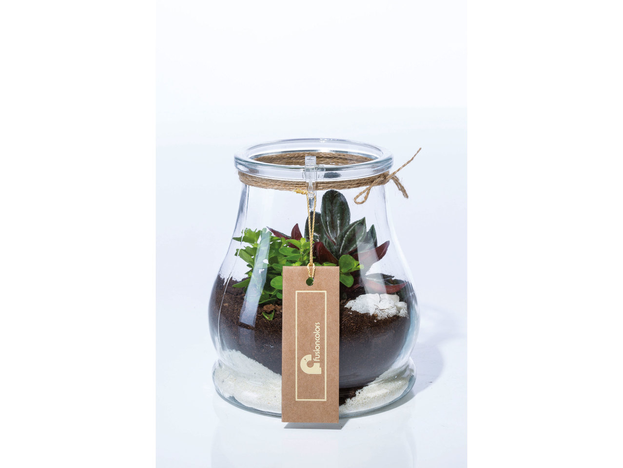 Plantencompositie in glas