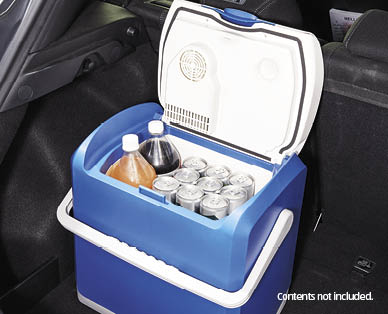 22L Car Cooler/Warmer