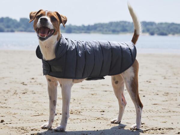Dog Rain Coat