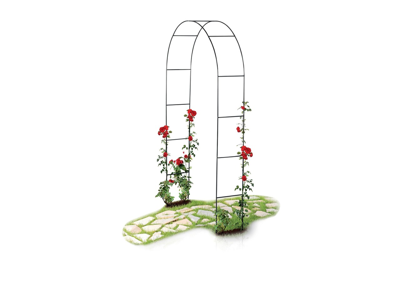 Rose Arch