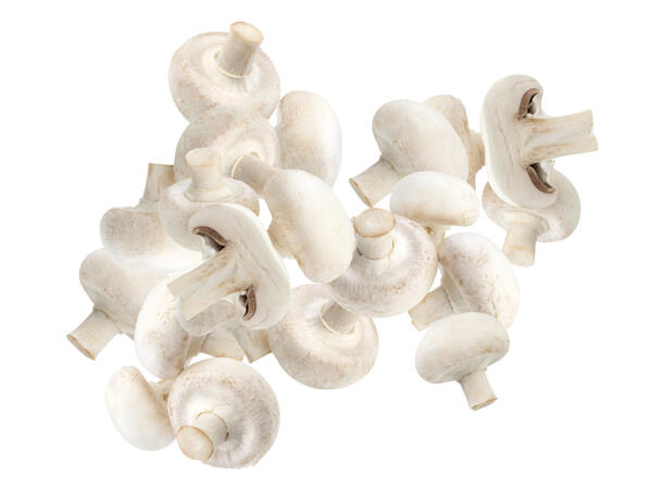 Champignons weiß