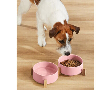 Designer Pet Bowl with Stand