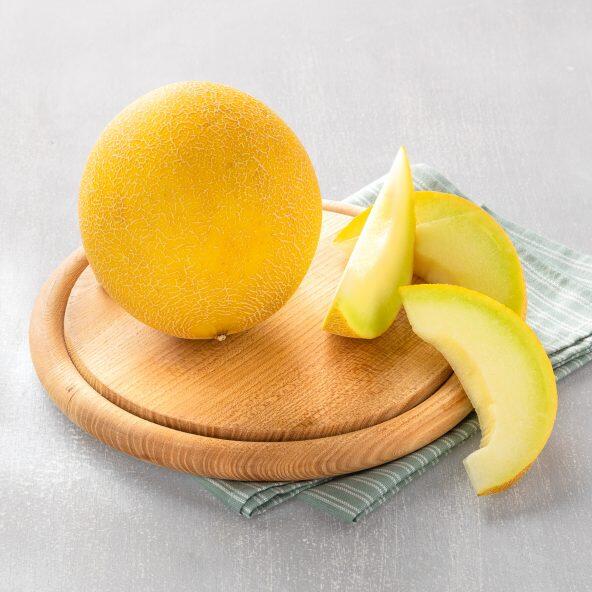 Melon Galia
