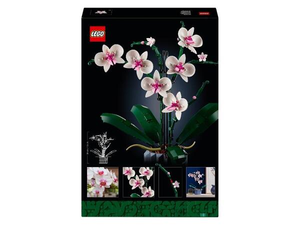 10311 Orchidej