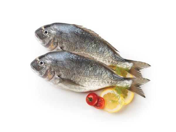 Sea bream