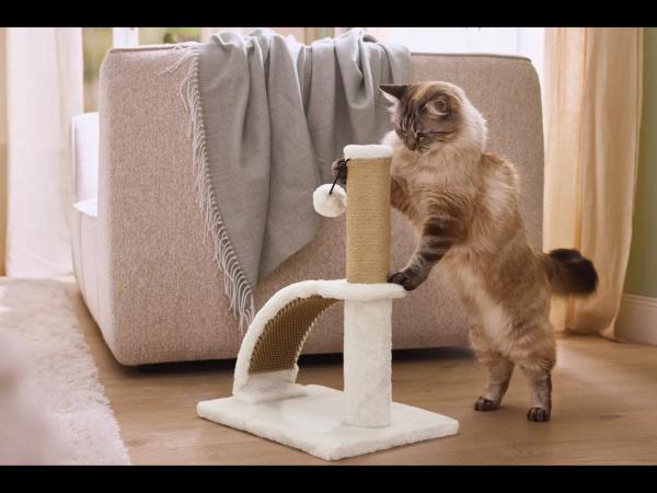Cat Scratching Post