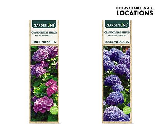 Gardenline
Ornamental Shrub Assorted Varieties