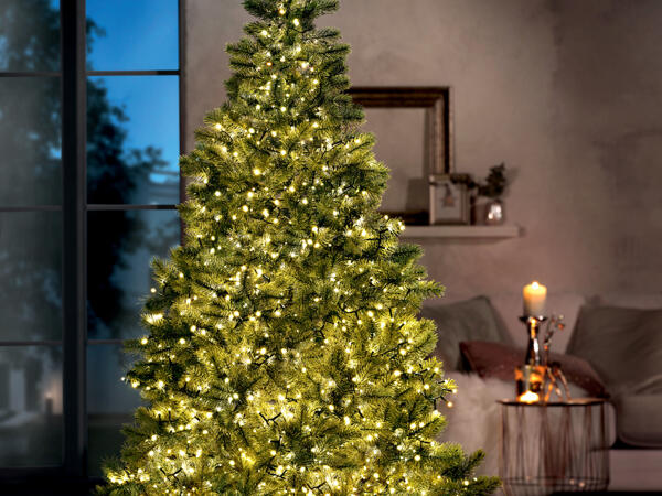 1000 LED Fairy Lights