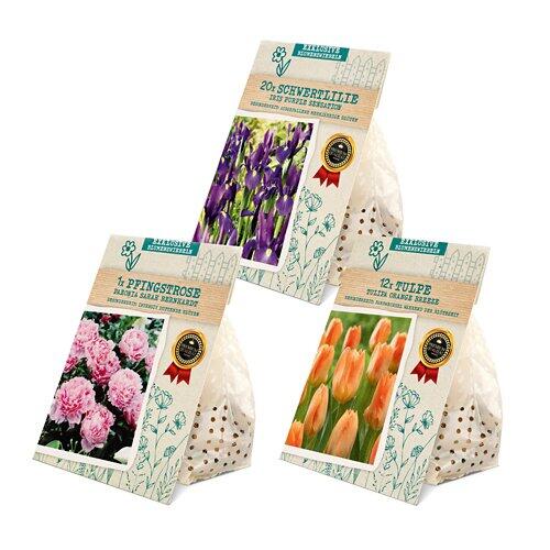 Exklusive Blumenzwiebeln