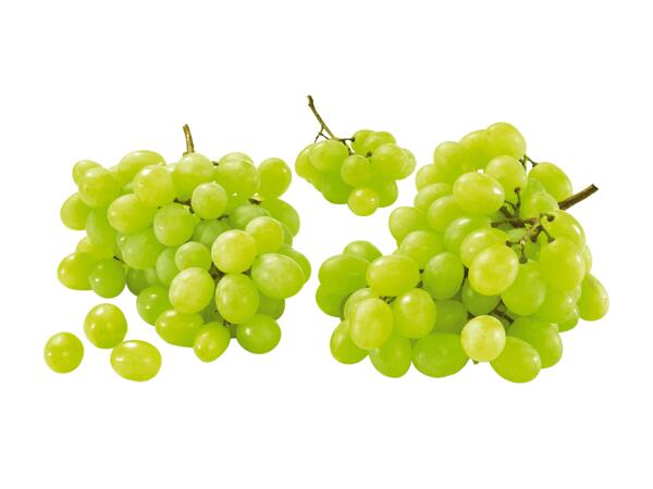 Raisin blanc sans pépins