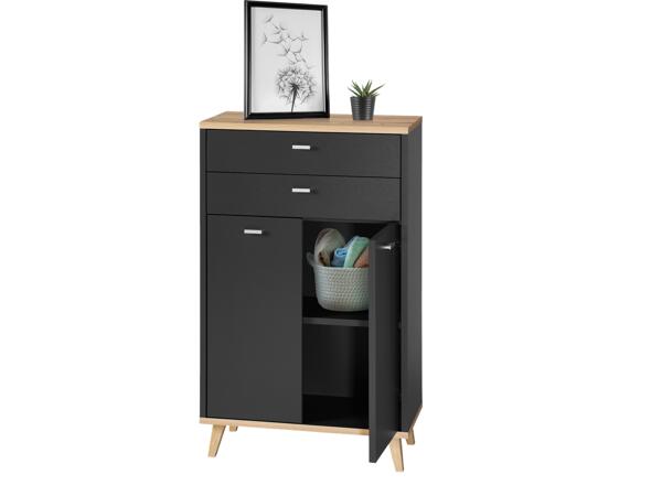 Bathroom Cabinet With 2 Doors and 2 Drawers