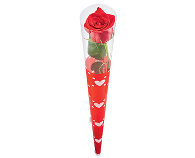 Blossom Lane Single Stem Red Rose