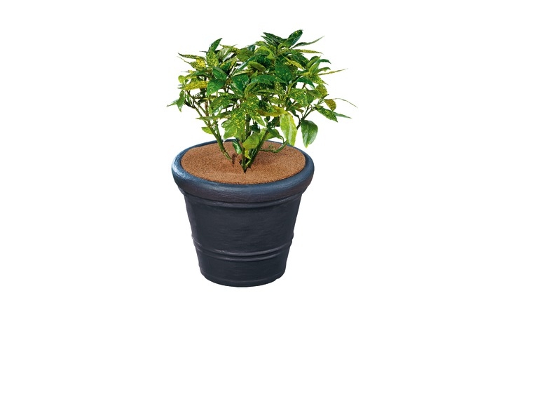 Protection contre le gel pour plantes