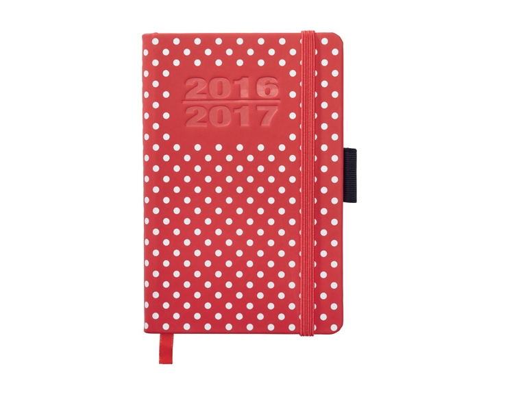School Diary