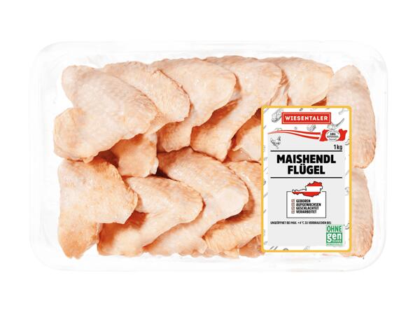 Frische Maishendl Flügel