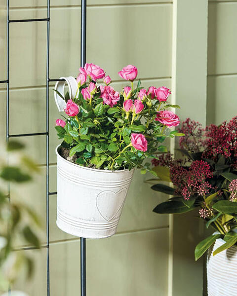 Vintage Metal Hanging Pot