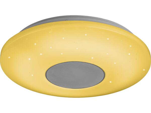 LED Ceiling Light with Bluetooth(R) Speaker