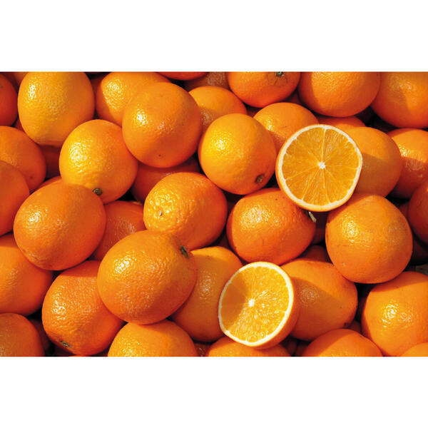 Oranges "Lane late"