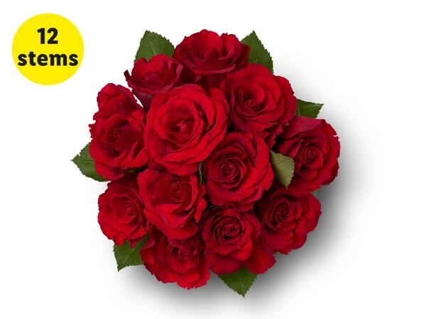 Dozen Red Roses