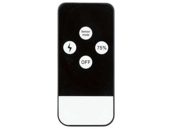 Motion Sensor Light with Dummy Camera