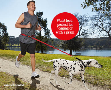 Multifunction Cross-Body Dog Lead