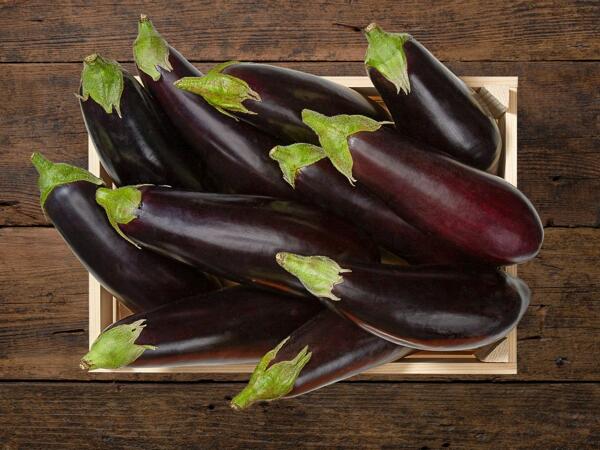 Aubergines bio