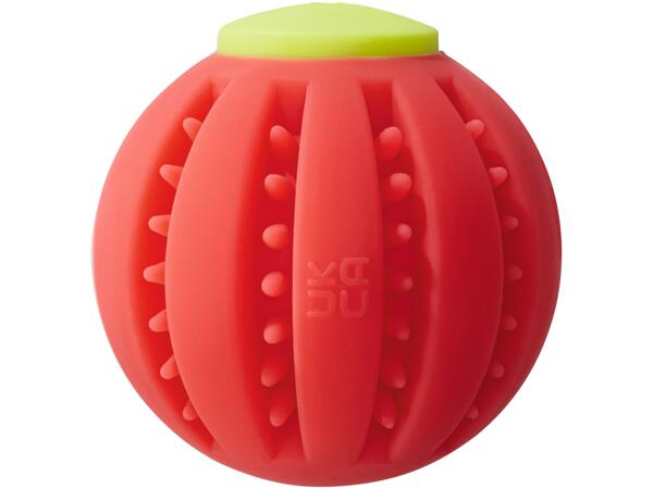 LED Dog Toy Assortment