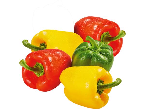 XXL Mixed Peppers