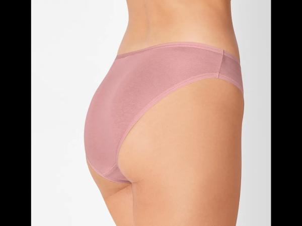 Ladies' Briefs, 5 pieces