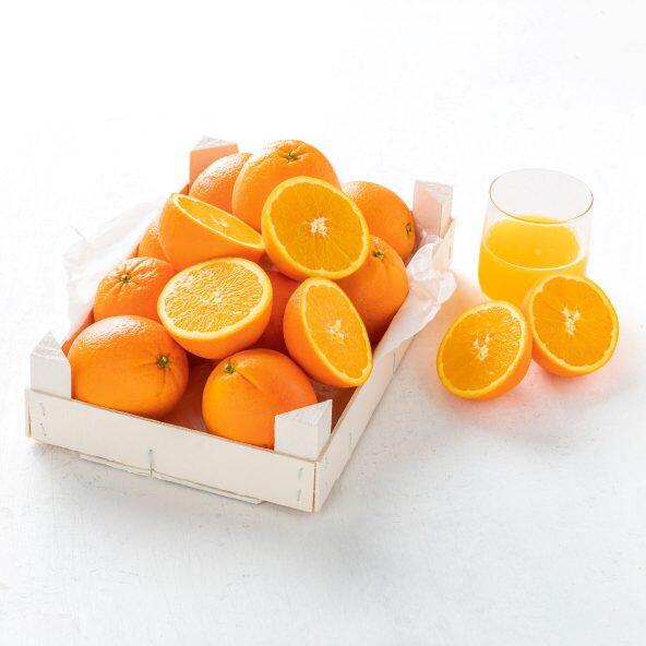 Oranges à jus