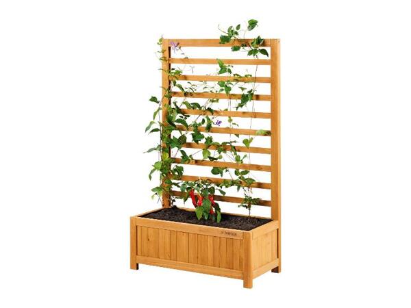 Květináč na popínavé rostliny, 20 l